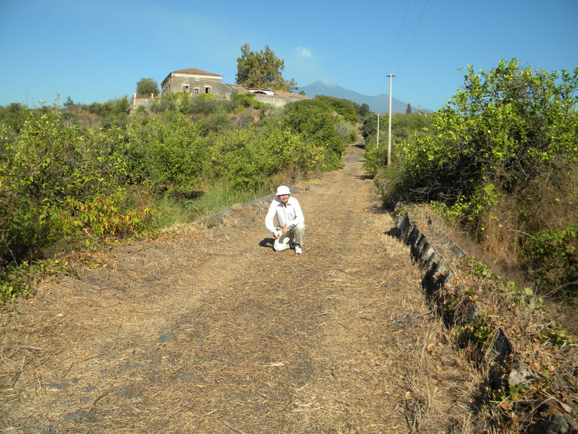 DSCN8166 .JPG